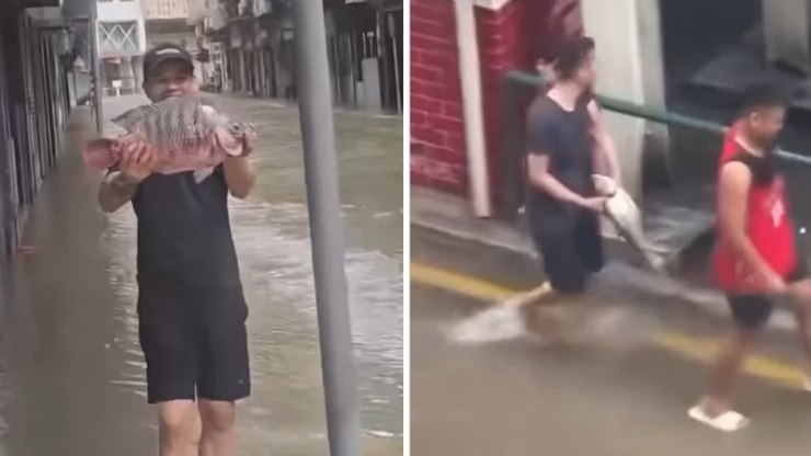 Peixes tomam as ruas de Macau após tufão Ragasa; assista