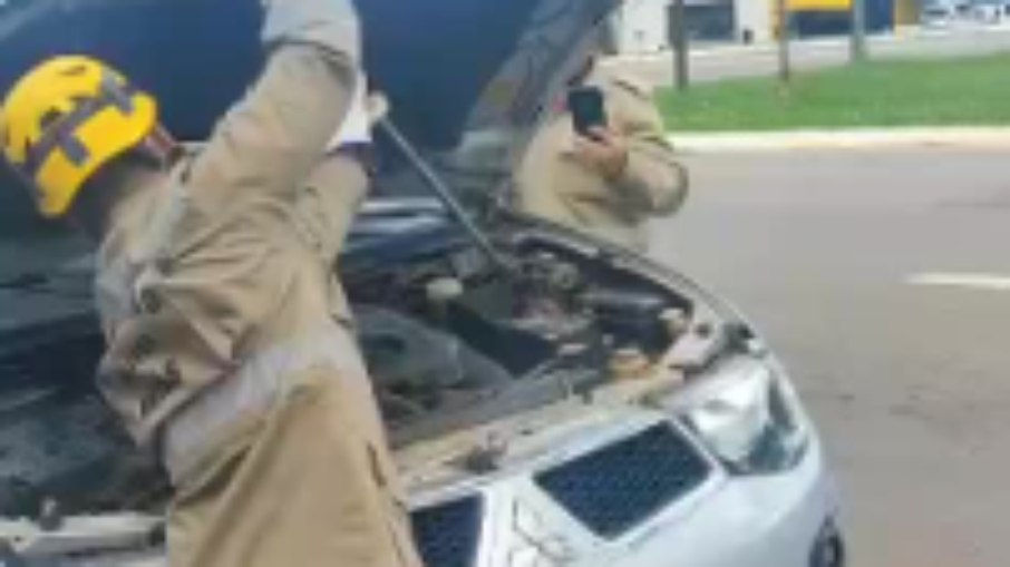 Bombeiros resgatam cobra em motor de carro em Anápolis Bombeiros resgatam cobra em motor de carro em Anápolis