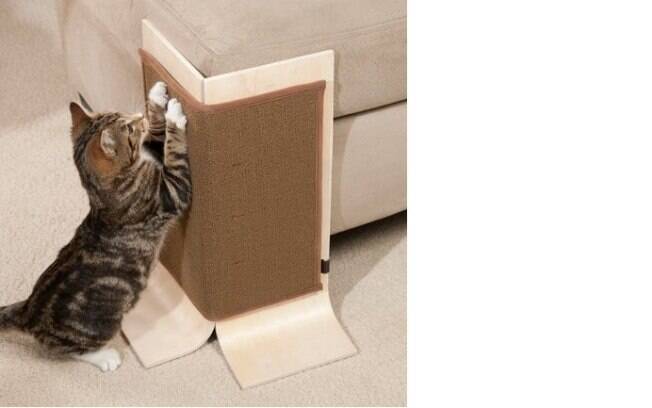 Saiba dica para evitar que seu gato arranhe os móveis da casa
