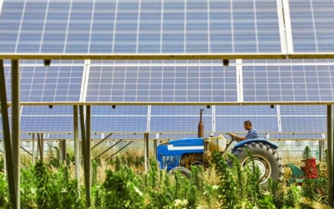 Energia solar auxilia a expansão do agronegócio