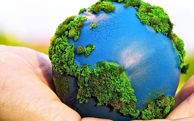 ESG é uma estratégia rentável e sustentável