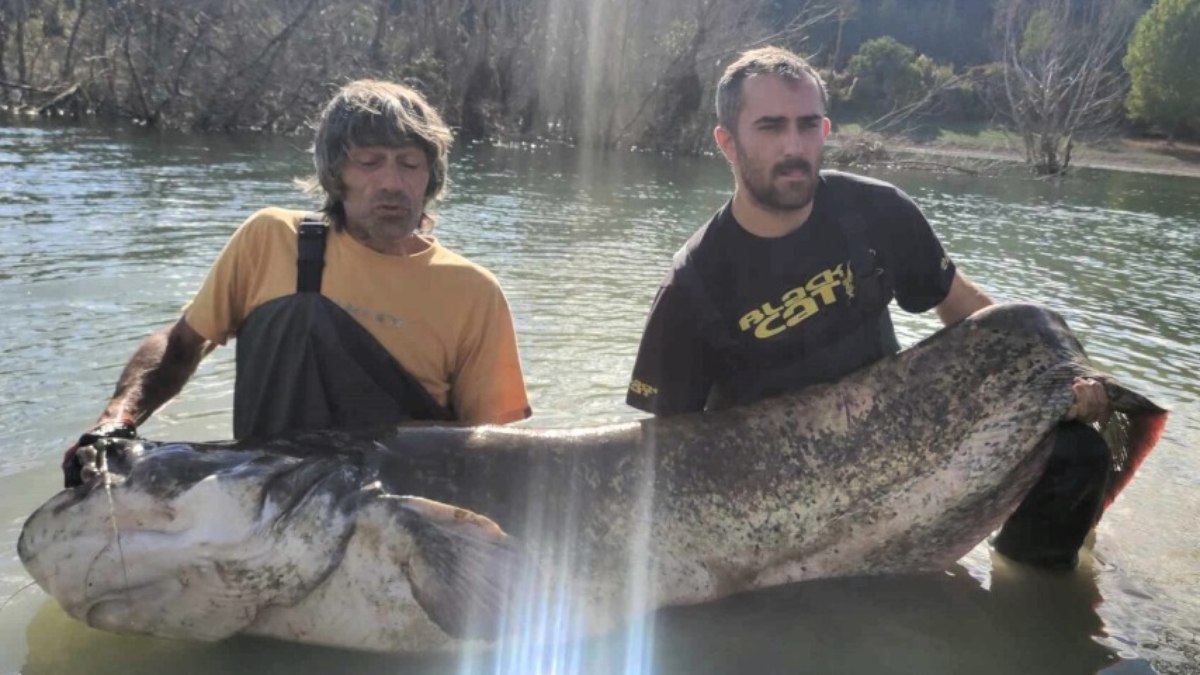 Pescadores levaram cerca de duas horas para cansar e retirar o peixe da água