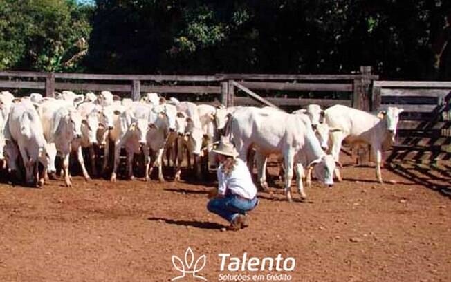 Oferta de crédito rural foi de mais de R$ 55 bi em 2021