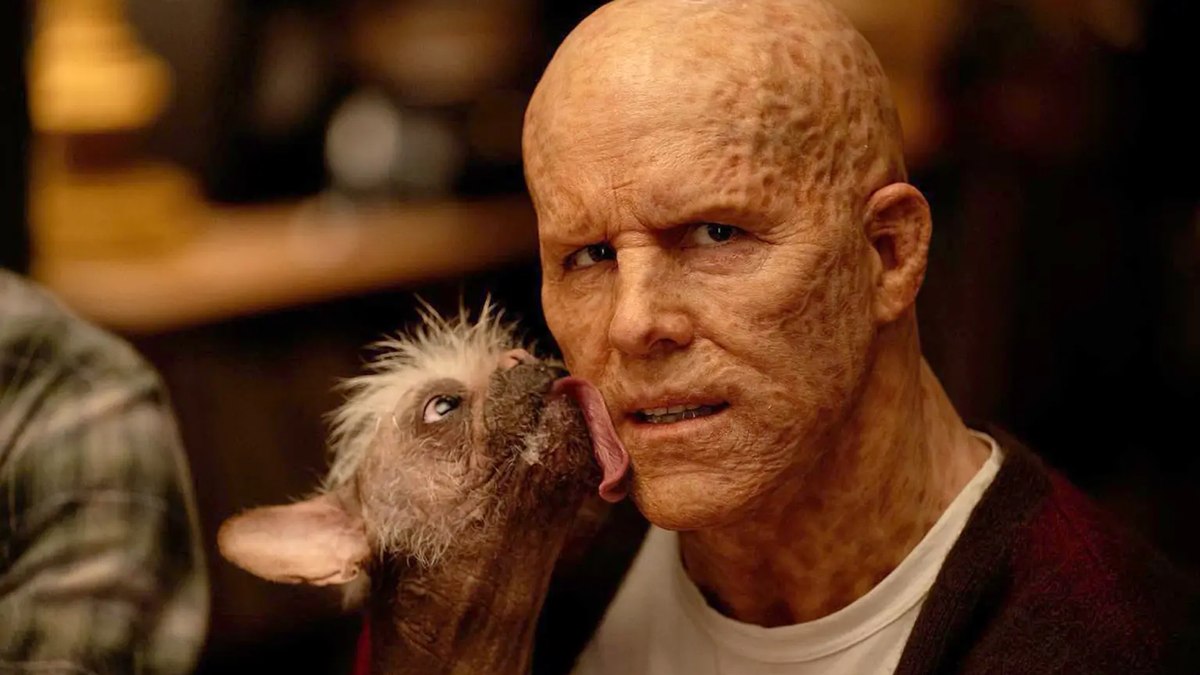 Cachorro eleito como o 'mais feio' do Reino Unido vira estrela de Hollywood em filme do Deadpool