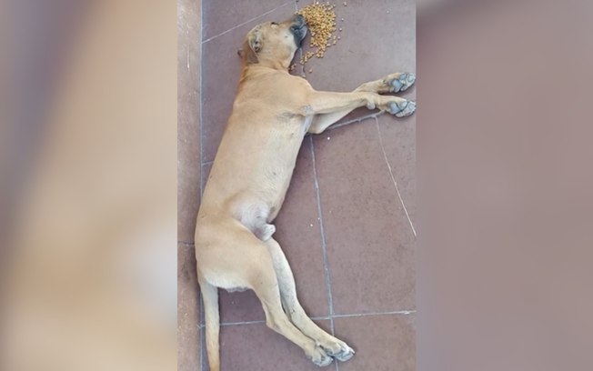 8e41vdkp4oq35f150bgmvybgi