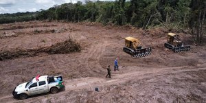 Ex-senador de Rondônia é responsabilizado por desmatamento