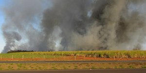 Tempo seco e ventos mantêm estados em alerta para queimadas