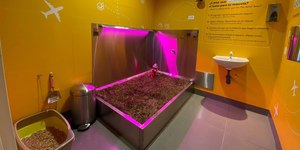 Vídeo: mulher mostra banheiro exclusivo para pets no aeroporto