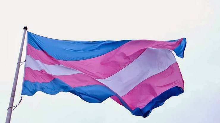 Jornalista é condenada a pagar indenização por chamar trans de 'cara'