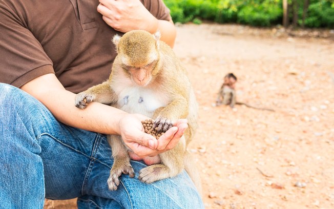 Foz ganha novo espaço de conexão com a natureza e animais