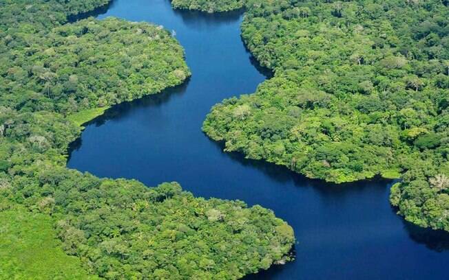 Produtores rurais vão receber por florestas conservadas na Amazônia