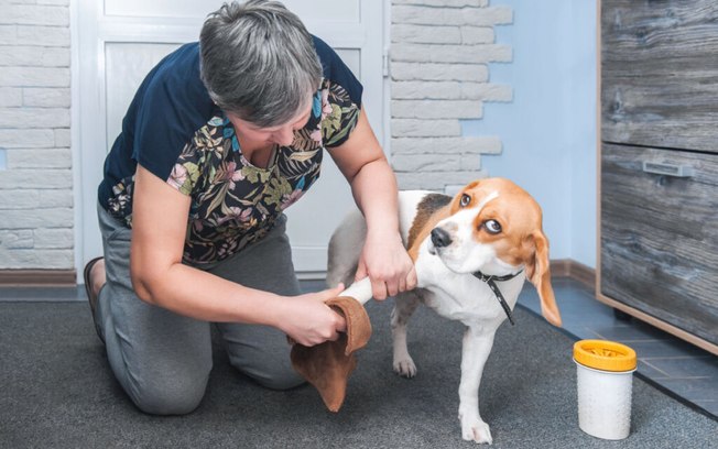 5 passos para limpar as patas do cachorro após o passeio