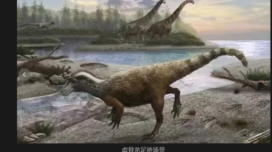 Pegadas revelam dinossauro caçador mais lento já registrado Pegadas revelam dinossauro caçador mais lento já registrado