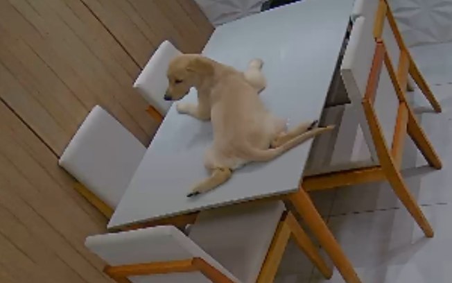 8g0o8zby6e8rpgph4i5mqjfoa