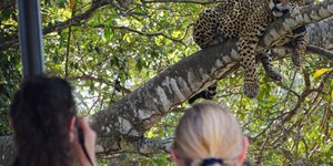 Veja: 10 instituições de conservação da natureza atuam no turismo