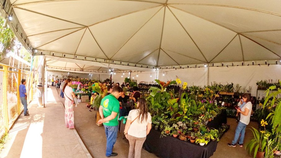Feira das Orquídeas e Plantas Feira das Orquídeas e Plantas