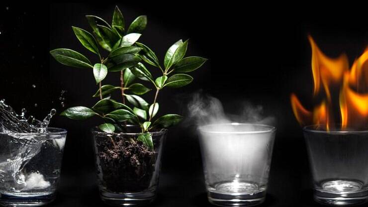 Como os quatro elementos da natureza podem ajudar no autoconhecimento