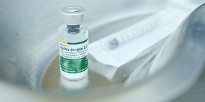 SP: Prefeitura amplia público-alvo da vacinação contra a dengue
