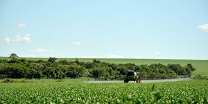 Maioria dos agrotóxicos mais vendidos no Brasil são vetados na UE