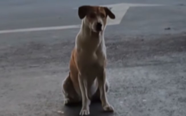 8i5e76676yu1gnj5l1einy8p5