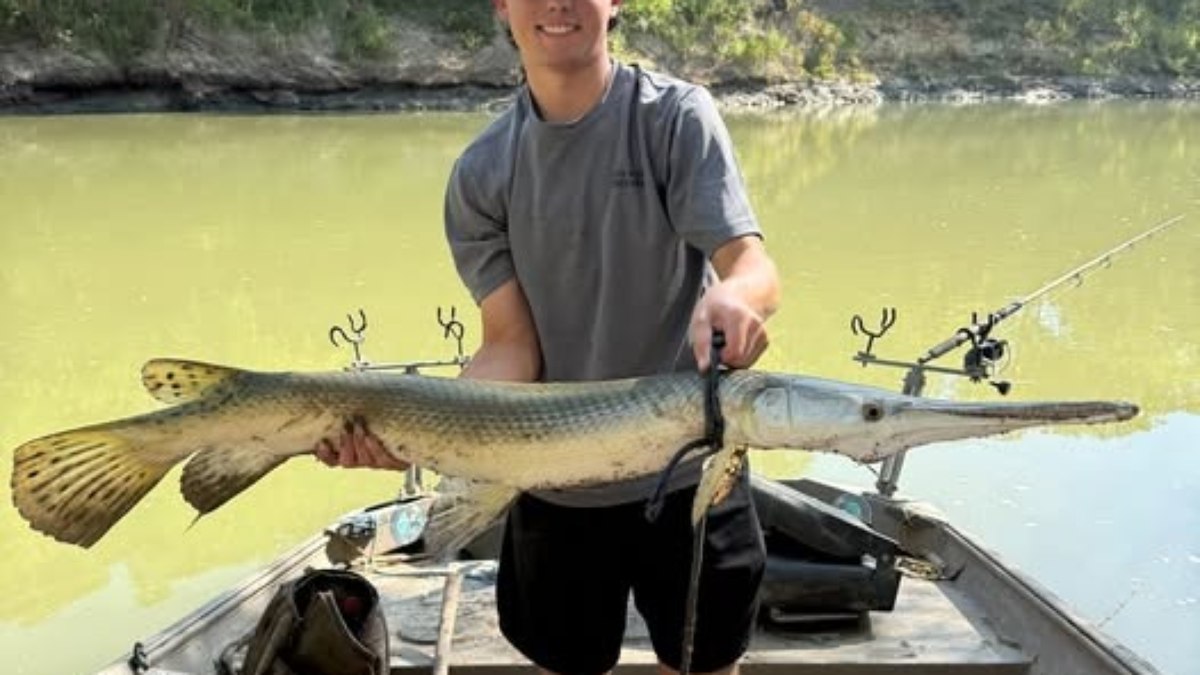 Jovem captura peixe híbrido raro de mais de 200 milhões de anos Jovem captura peixe híbrido raro de mais de 200 milhões de anos