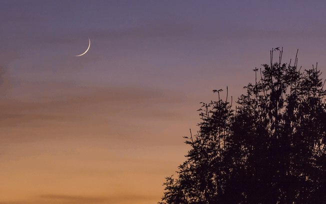 Lua Nova e montanha-russa emocional nas previsões da semana de 22 a 28/06 Lua Nova e montanha-russa emocional nas previsões da semana de 22 a 28/06