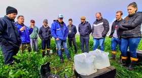 Comunidade mineira amplia produção de polpas de frutas do Cerrado