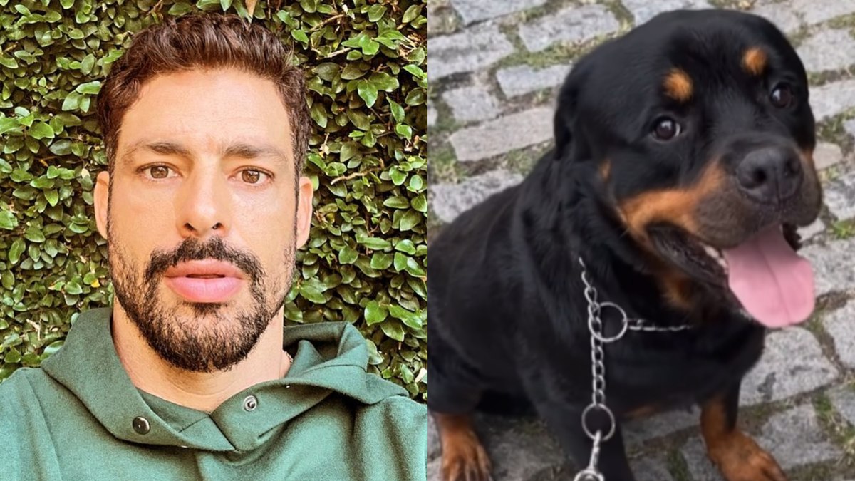 Polícia investiga morte de cachorro de Cauã Reymond