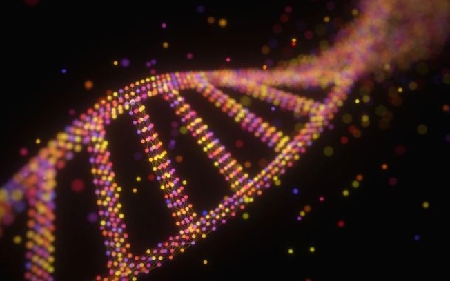 Cientistas decodificam diferença genética entre machos e fêmeas