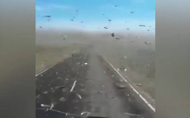 Vídeo mostra os momentos em que uma nuvem de gafanhotos atinge rodovia na Rússia