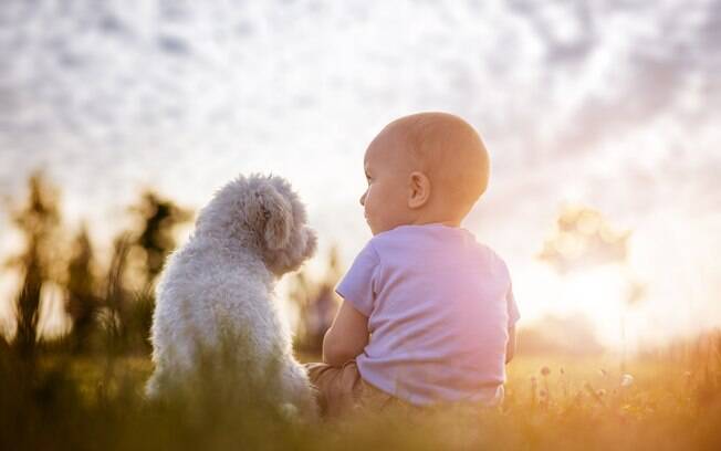 A relação entre os bebês e os cães é totalmente possível e pode até gerar benefícios para ambos