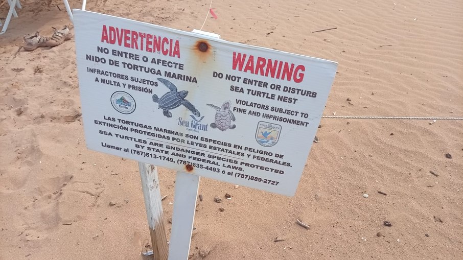 Placas advertem turistas ao local de proteção dos ninhos das tartarugas