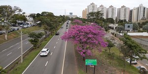 Semana em Campinas tem temperaturas mais amenas e sem chuva
