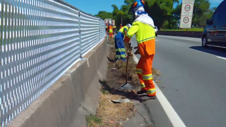 Via Dutra recebe serviço de capina e limpeza; veja onde