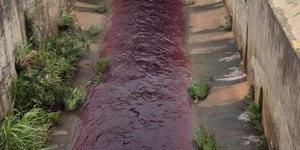 Empresa é apontada como responsável por deixar ribeirão vermelho