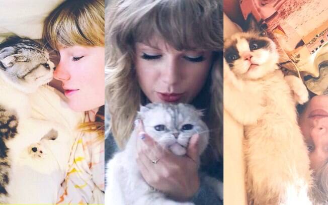 Conheça os gatos da cantora Taylor Swift