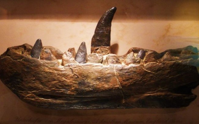 Megalossauro: descoberta do primeiro dinossauro completa 200 anos