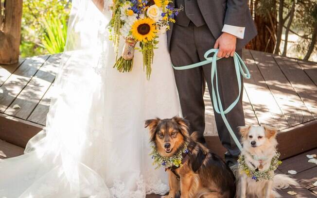 Levar o cachorro no casamento é uma ação cada vez mais popular