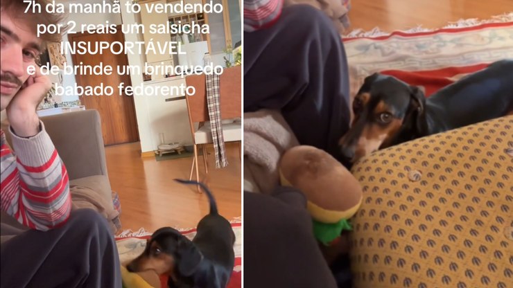 Salsicha acorda tutor às 7h da manhã com brinquedo barulhento