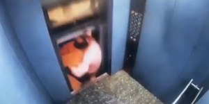 Vídeo: homem escapa por pouco de ser esmagado por elevador