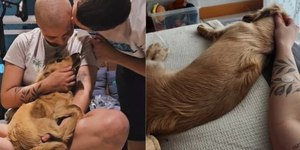 Cão ajuda mulher a vencer câncer e emociona internautas