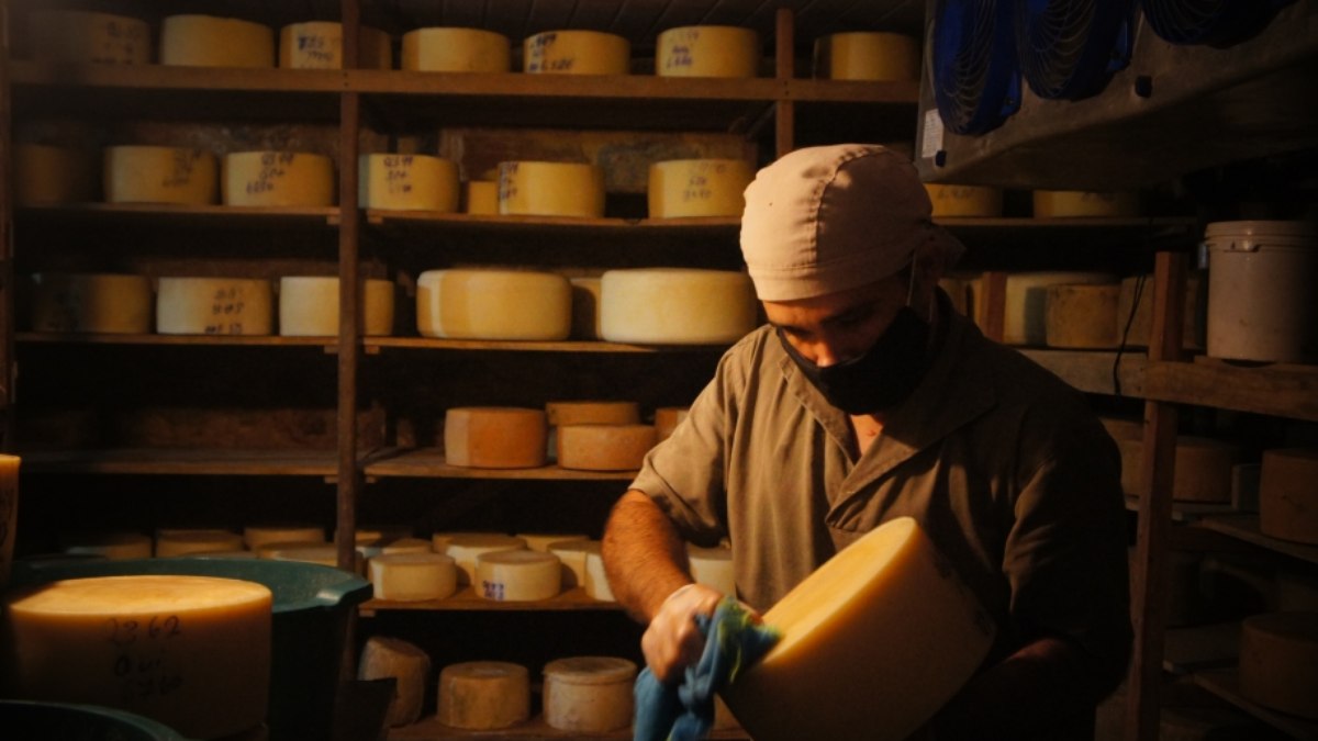 O Guia da Rota do Queijo traz uma importante visibilidade aos produtores rurais de São Paulo O Guia da Rota do Queijo traz uma importante visibilidade aos produtores rurais de São Paulo