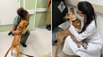 Amendoim%2C%20do%20filme%20Caramelo%2C%20visita%20hospital%20oncol%C3%B3gico