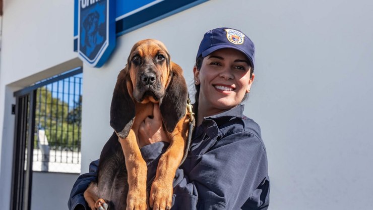 Jundiaí ganha novo cão para buscas por desaparecidos