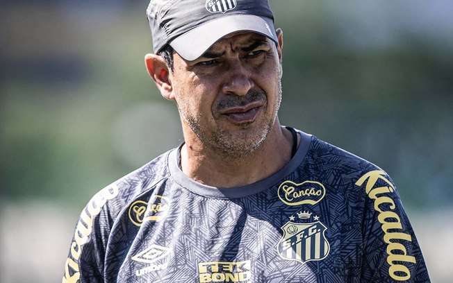 Carille ressalta favoritismo do Santos na Série B