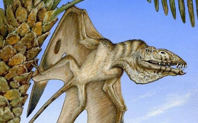 PTERODACTILO