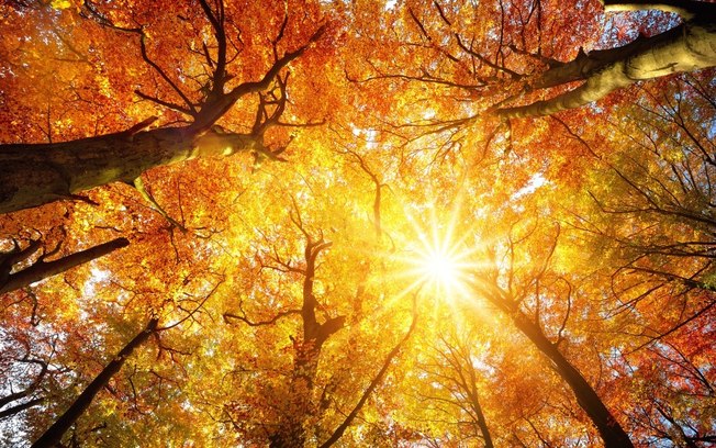 Quando começa o outono e como será o clima da próxima estação?