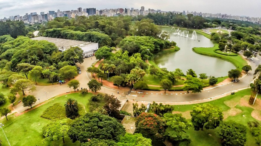Os três lagos artificiais do Parque Ibirapuera são interligados e ocupam 1,6 milhão de m²
