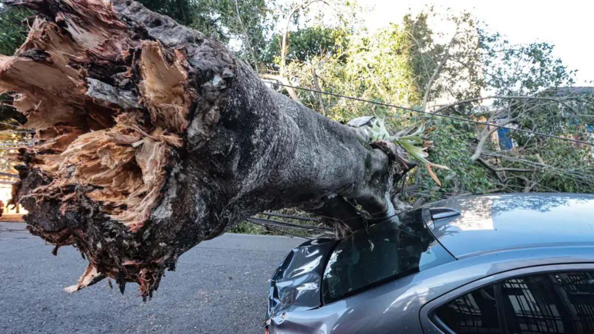Temporal provocou danos e mobilizou equipes de emergência no estado.