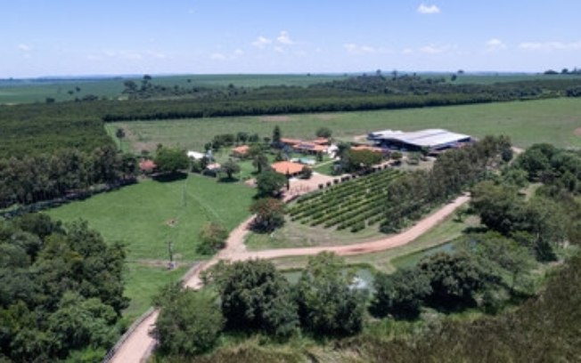 Bayer ForwardFarming anuncia nova fazenda no Brasil para demonstrar agricultura regenerativa na prática